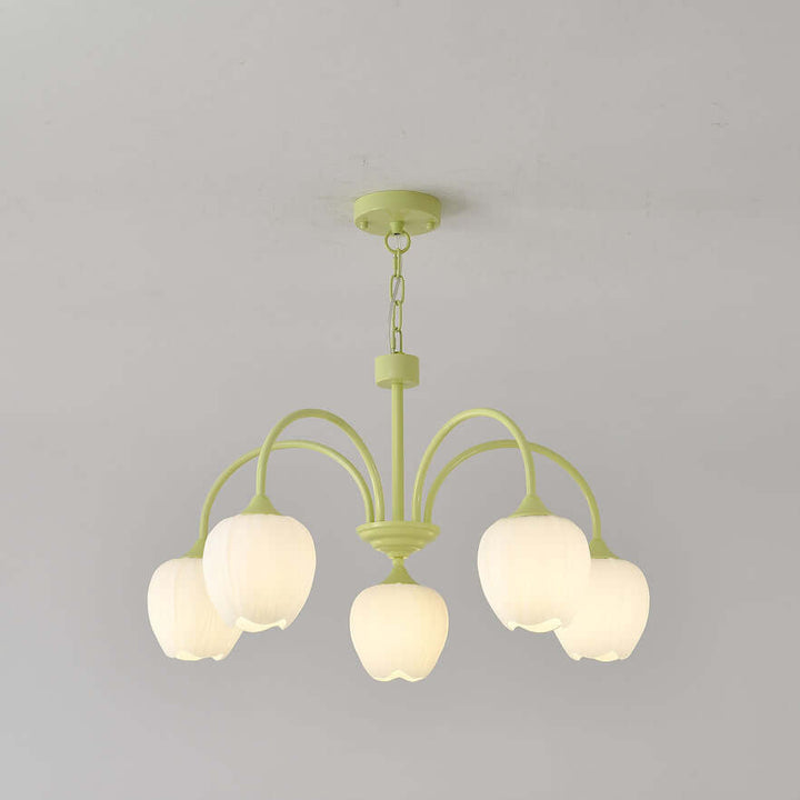 Tulipan Matcha Loftkrone - 5-8 Pærer