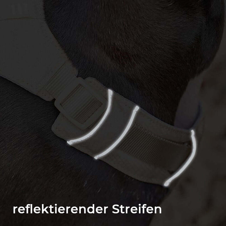 AquaCool Hundesele & Snor Sæt - Anti-træk & Vandtæt