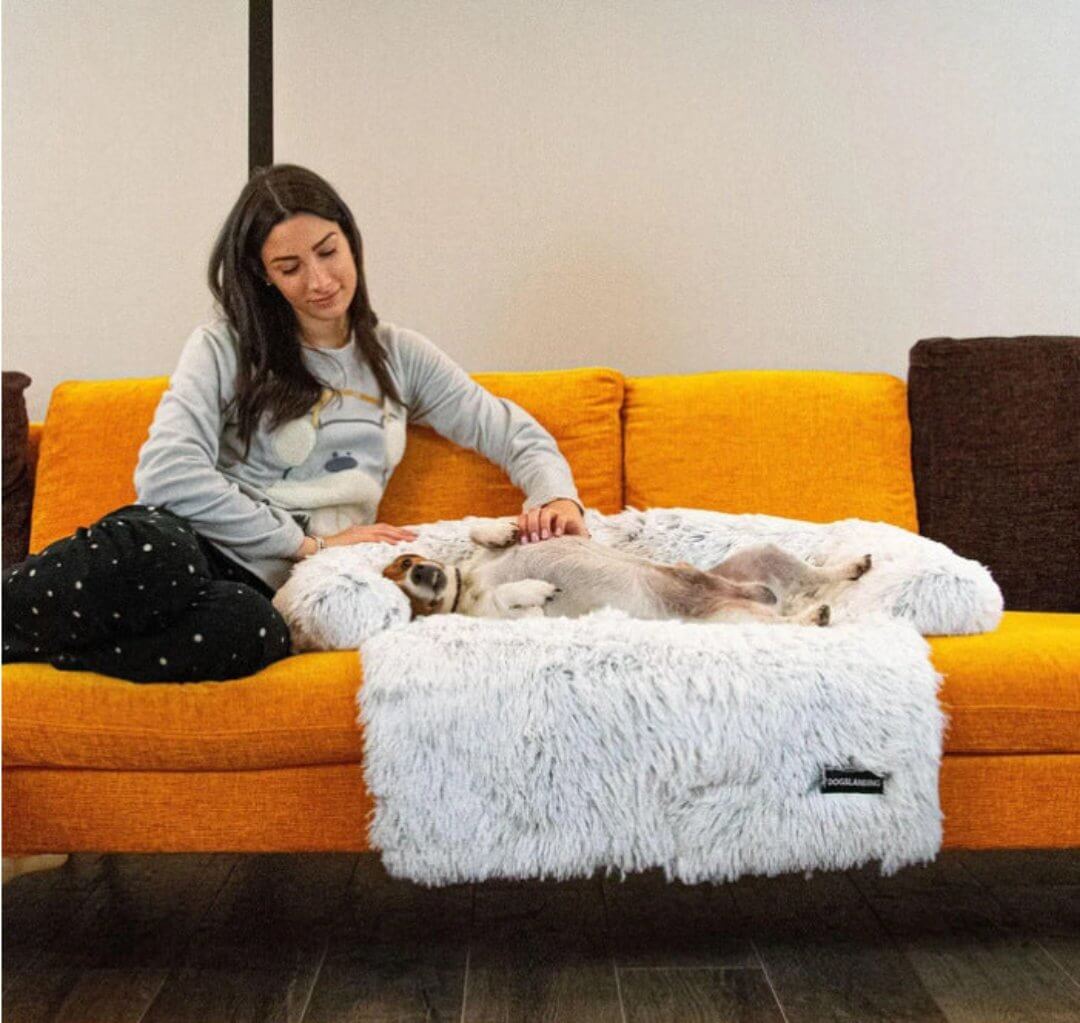 Hyggelig hundesofa seng til kæledyr