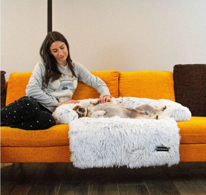 Hyggelig hundesofa seng til kæledyr