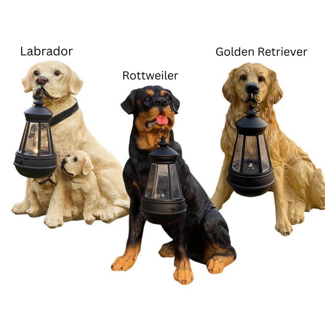 Hunde-solarlampen til din have | LED udendørslys