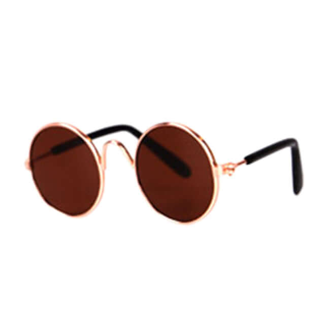 Trendy kattebriller til kæledyr