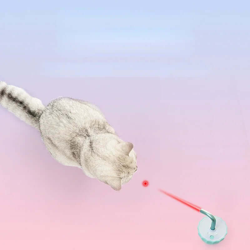 Interaktiv Laserpointer til Katte, Timevis af Sjov