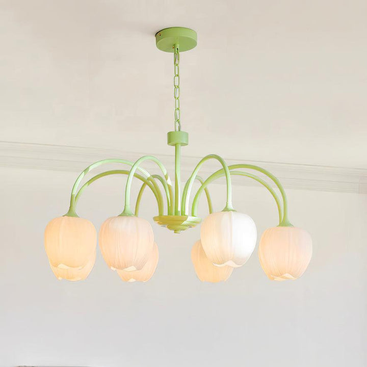 Tulipan Matcha Loftkrone - 5-8 Pærer