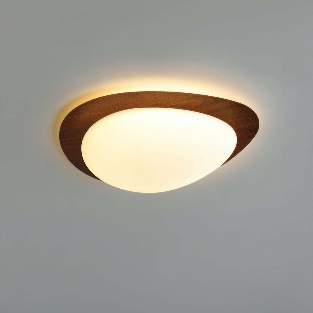 Skandinavisk LED Loftslampe til Stuen