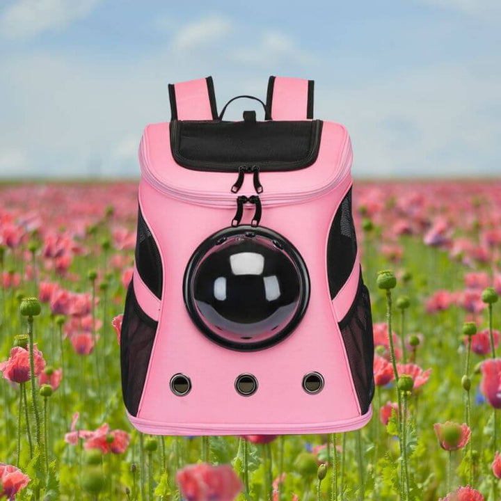 Kattebæretaske Rejsevenlig & Sammenklappelig