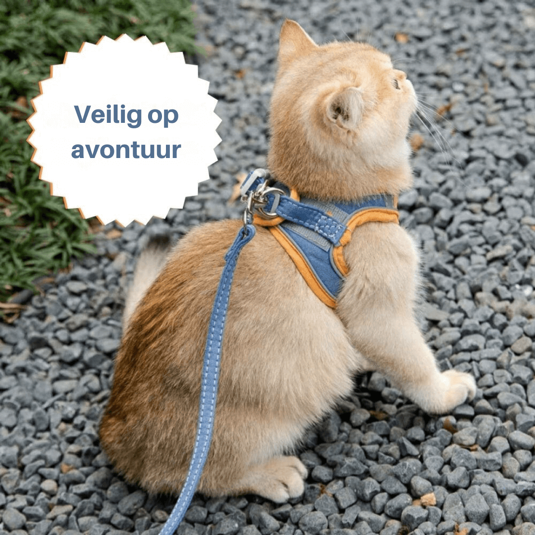 Katsele udslipssikker sele til katte