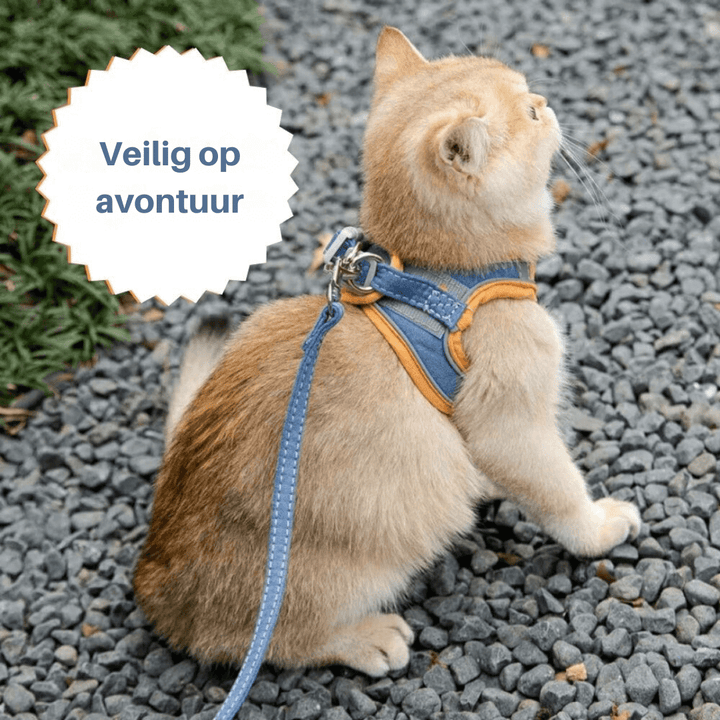 Katsele udslipssikker sele til katte