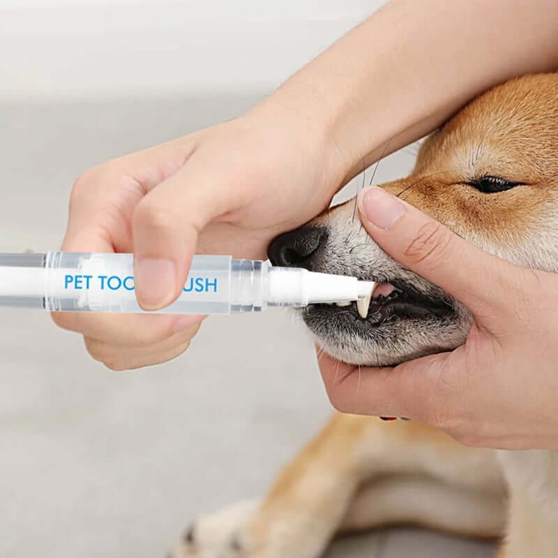 Tandplejepind til Hunde og Katte
