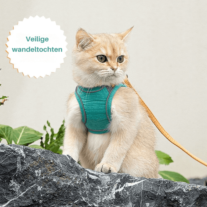 Katsele udslipssikker sele til katte
