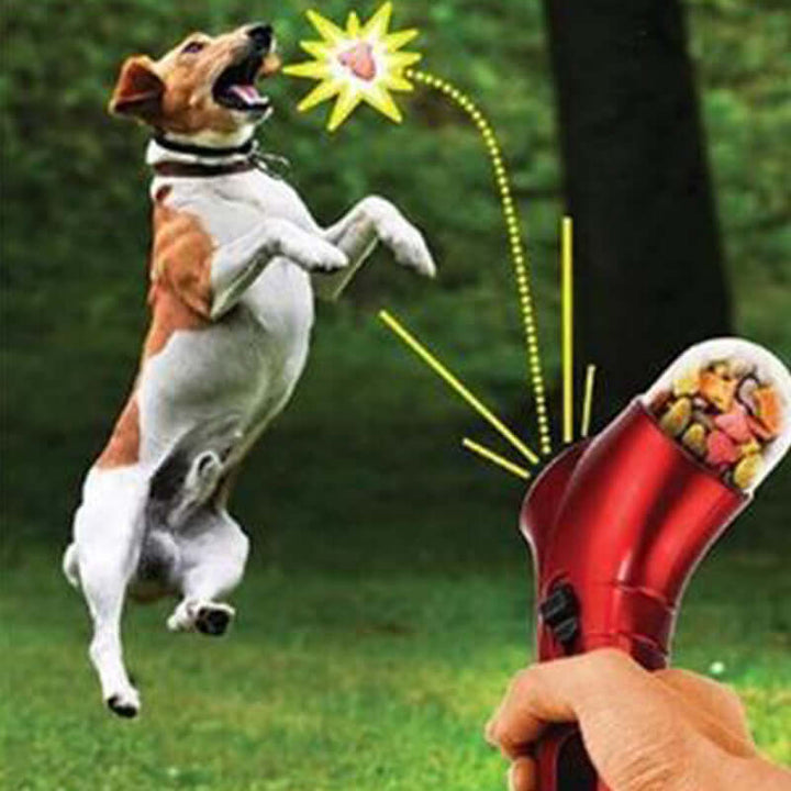 Interaktiv Foderskål Bold til Hunde og Katte