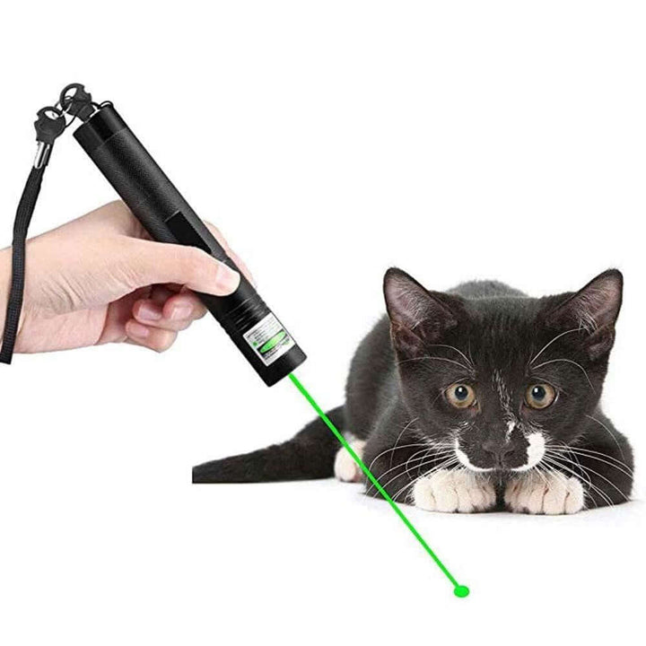 Kraftfuld laserpointer: Grøn/rød