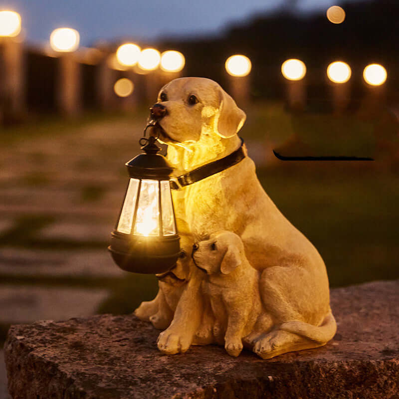 Hunde-solarlampen til din have | LED udendørslys