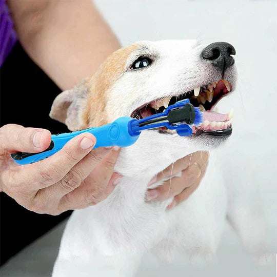 3-hoveds hundetandbørste med ergonomisk greb for effektiv 360° tandrensning i blå, grøn, lilla, orange, hvid.