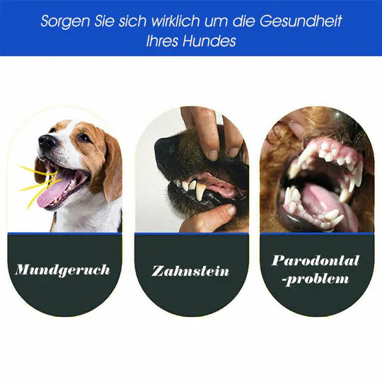 3-hoveds hundetandbørste med ergonomisk greb for effektiv 360° tandrensning i blå, grøn, lilla, orange, hvid.