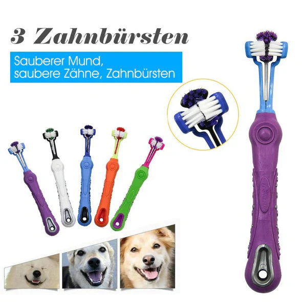 3-hoveds hundetandbørste med ergonomisk greb for effektiv 360° tandrensning i blå, grøn, lilla, orange, hvid.