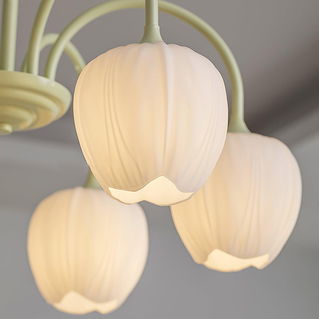 Tulipan Matcha Loftkrone - 5-8 Pærer
