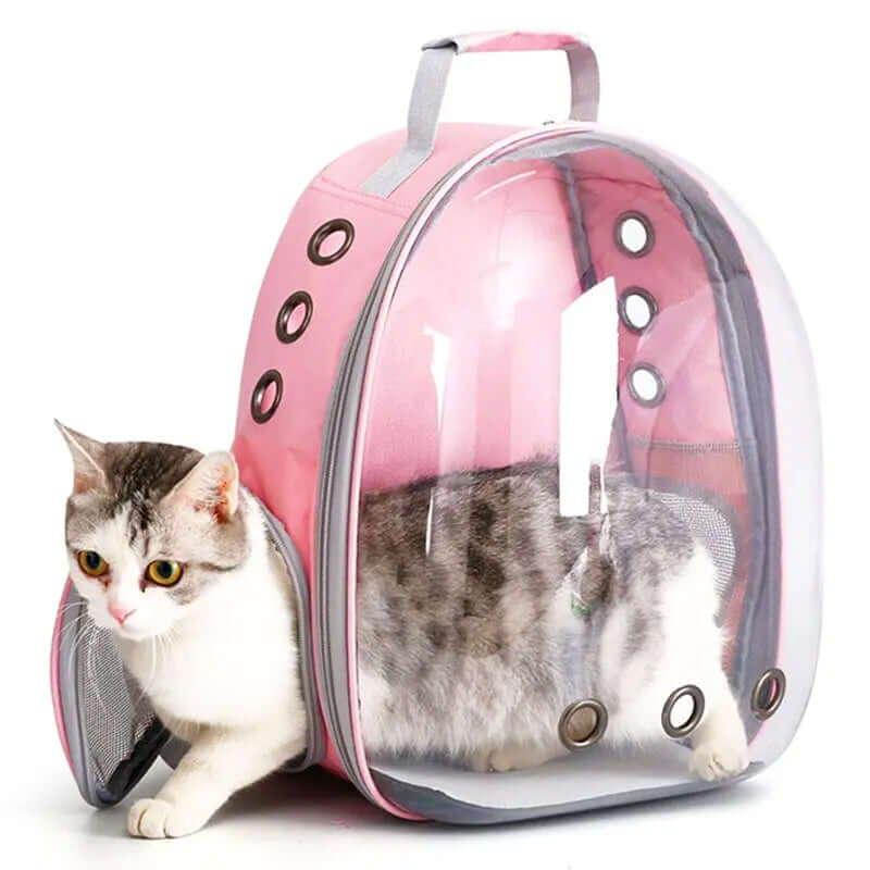 Transparent rygsæk til kæledyrstransport