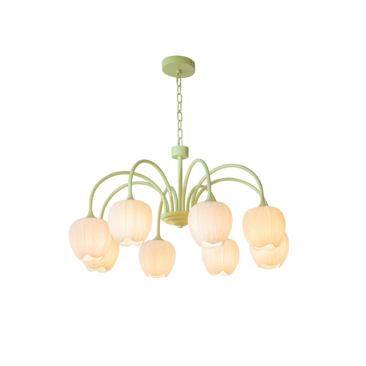 Tulipan Matcha Loftkrone - 5-8 Pærer