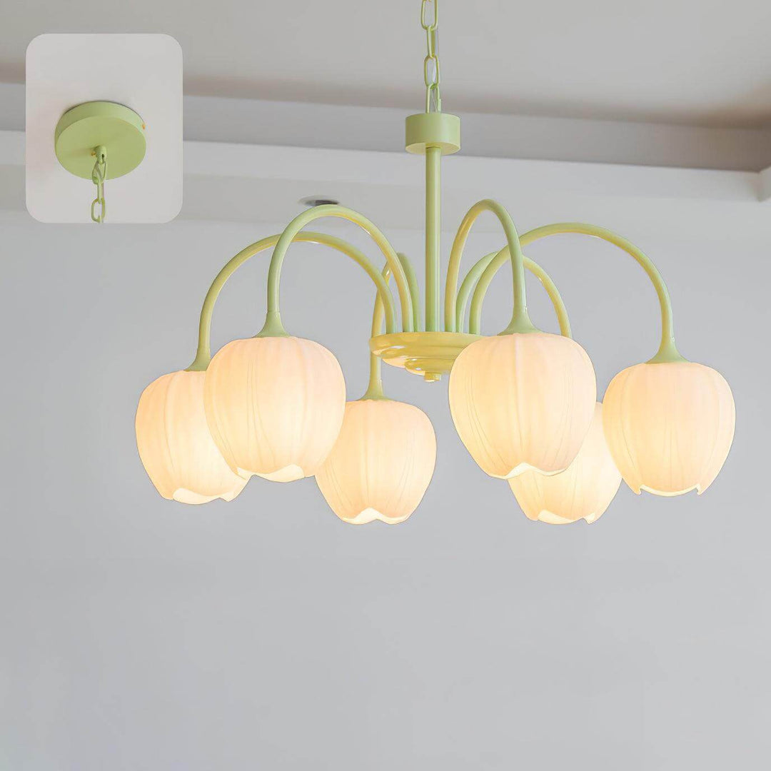 Tulipan Matcha Loftkrone - 5-8 Pærer
