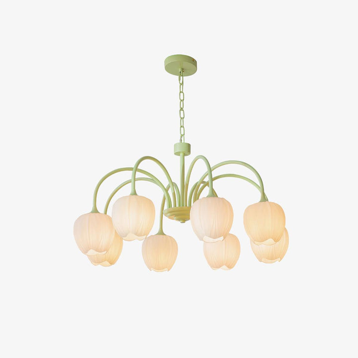 Tulipan Matcha Loftkrone - 5-8 Pærer