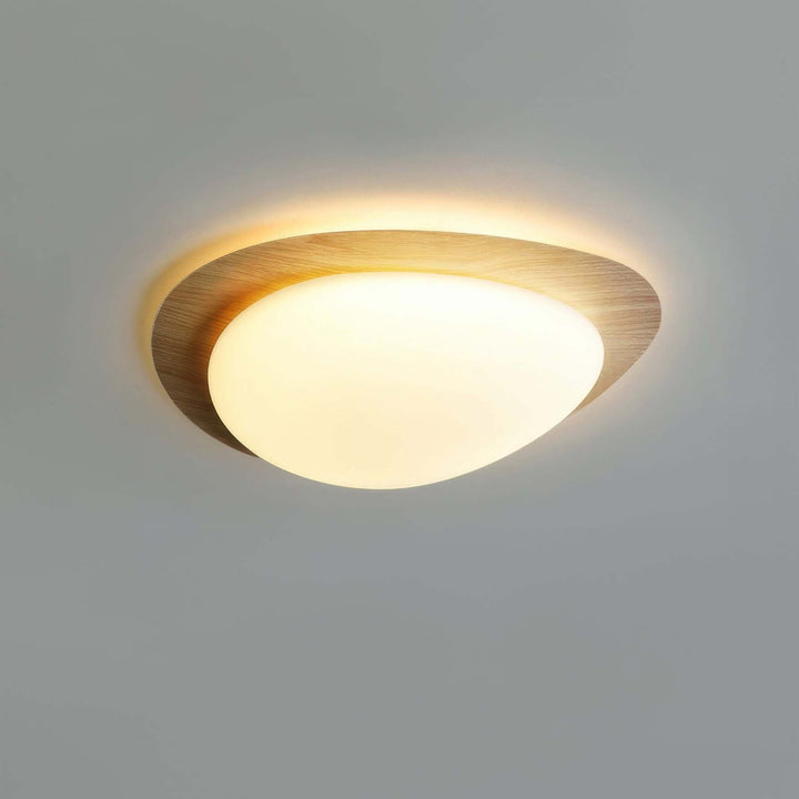 Skandinavisk LED Loftslampe til Stuen