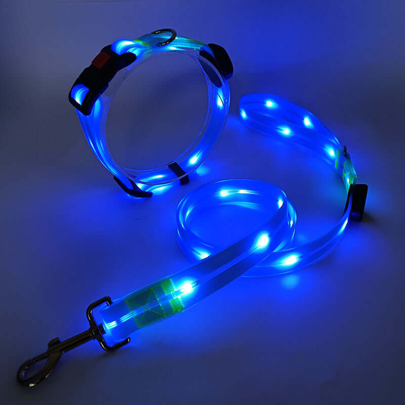 LED Hundehalsbånd med Snor - Sikkert & Synligt