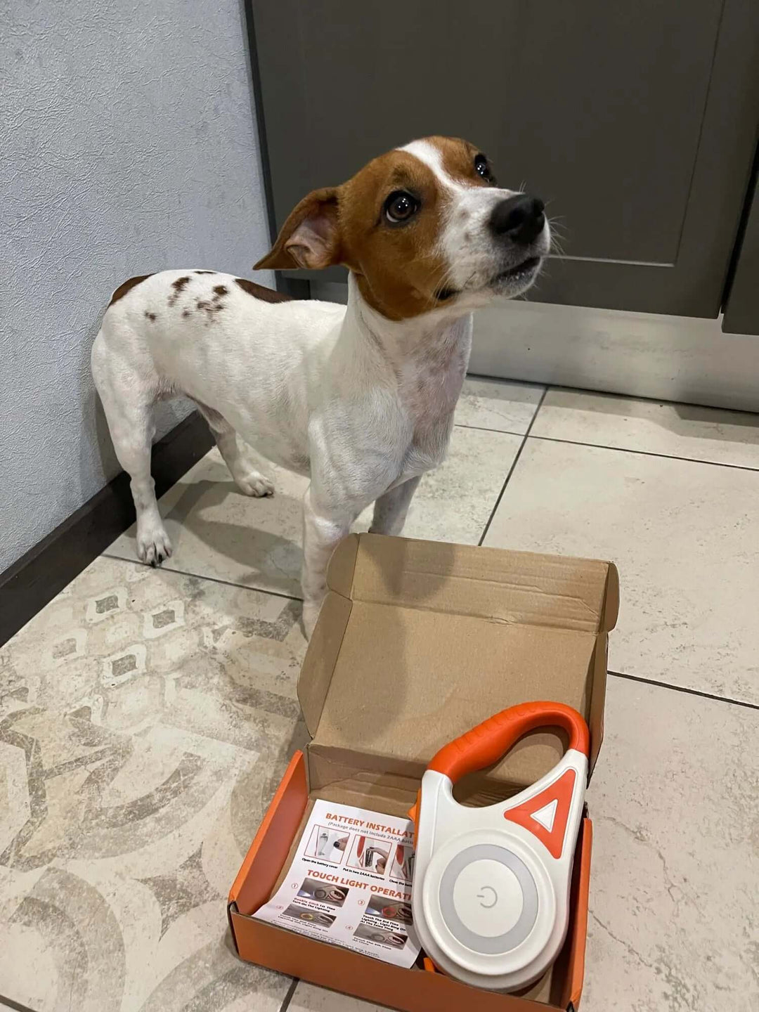 Hundesnor med LED og indbygget lommelygte, 5m