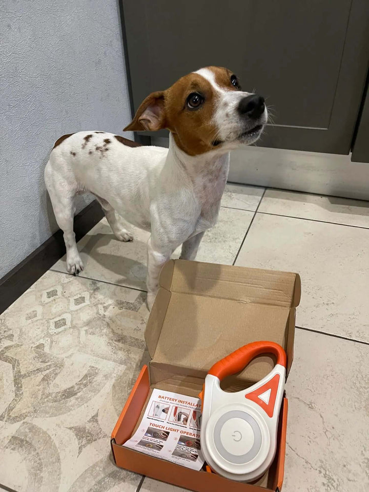 Hundesnor med LED og indbygget lommelygte, 5m