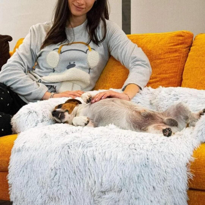 Hyggelig hundesofa seng til kæledyr