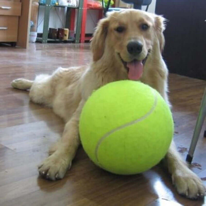XXL Tennisbold til Hunde (24cm) - Robust