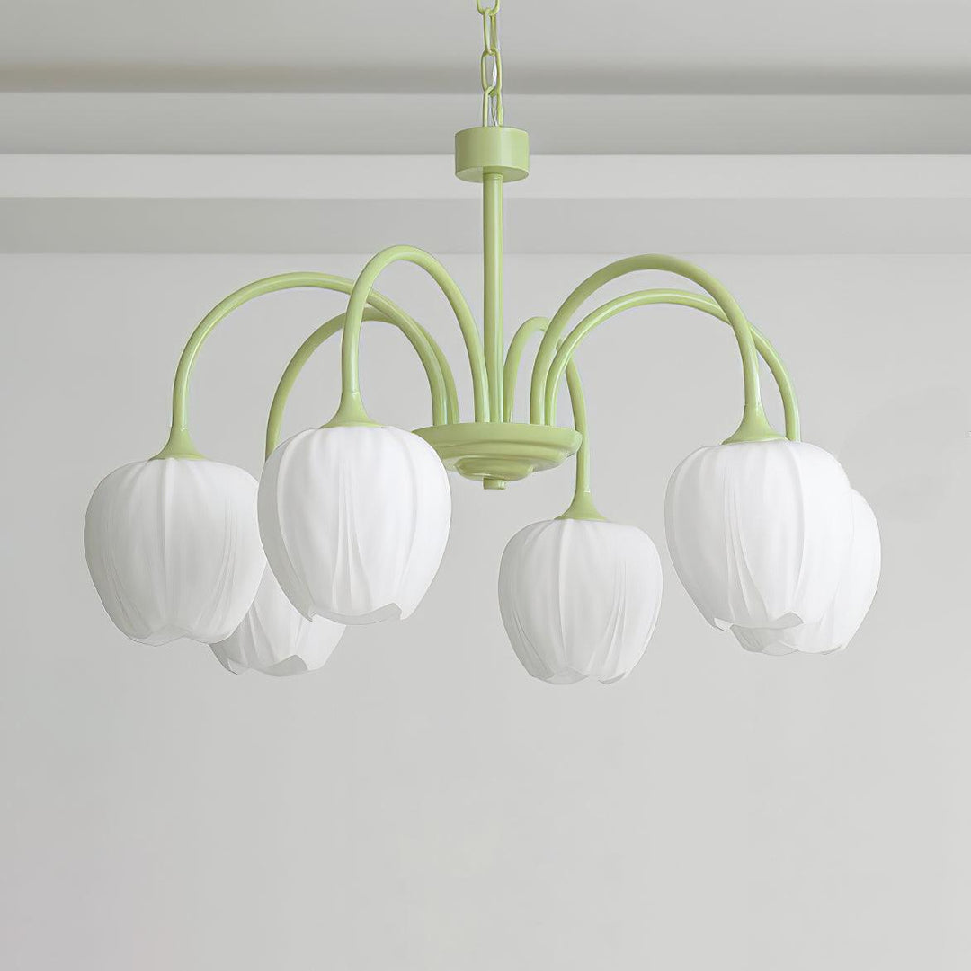 Tulipan Matcha Loftkrone - 5-8 Pærer