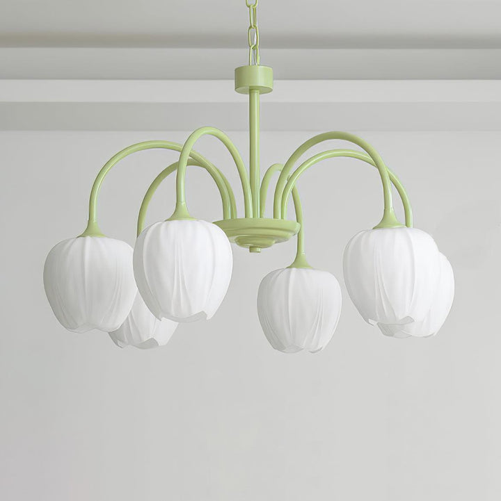 Tulipan Matcha Loftkrone - 5-8 Pærer