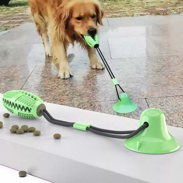 Robust Hundetræklegetøj med Sugekop til Leg
