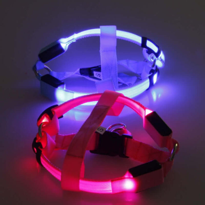 LED hundesele - sikkerhedssele til hunde