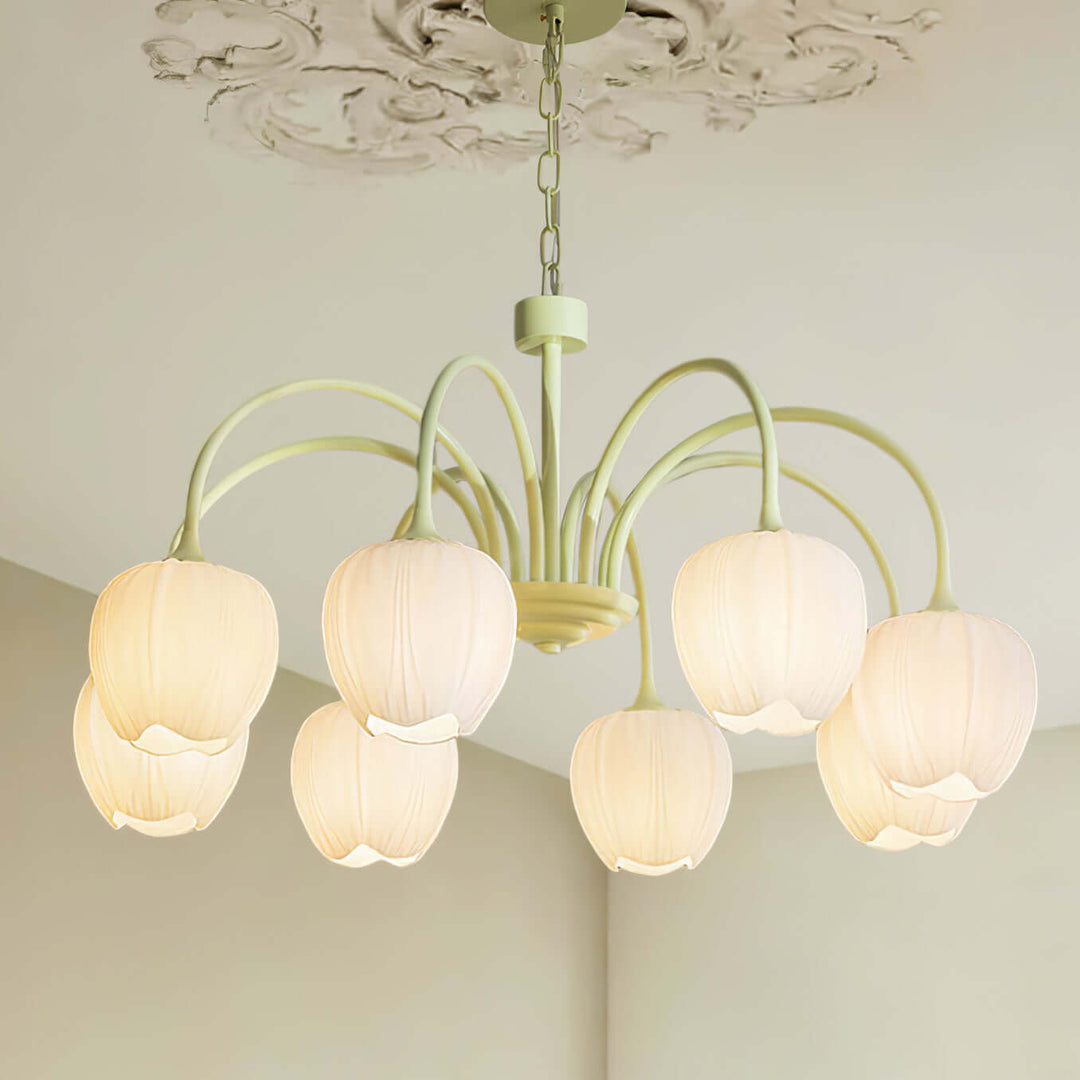 Tulipan Matcha Loftkrone - 5-8 Pærer