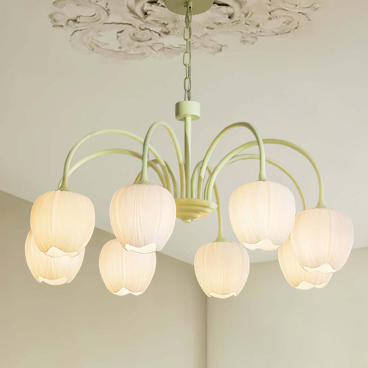 Tulipan Matcha Loftkrone - 5-8 Pærer