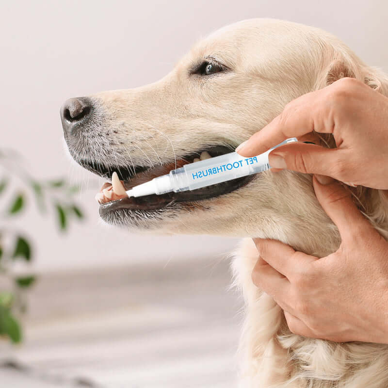 Tandplejepind til Hunde og Katte