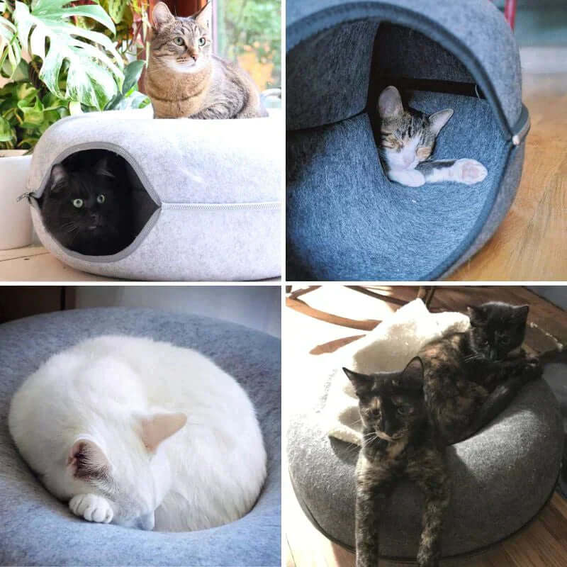 Luksus kattehule og seng til hygge og leg