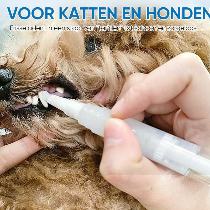 Tandplejepind til Hunde og Katte
