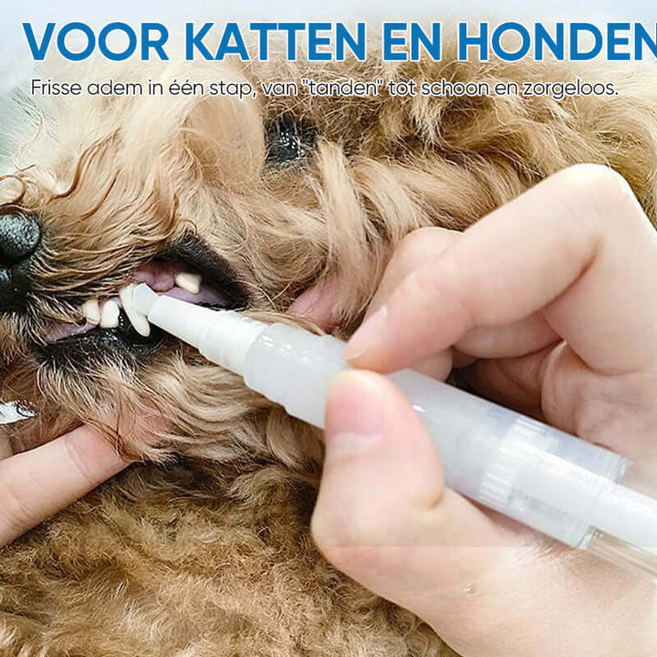 Tandplejepind til Hunde og Katte