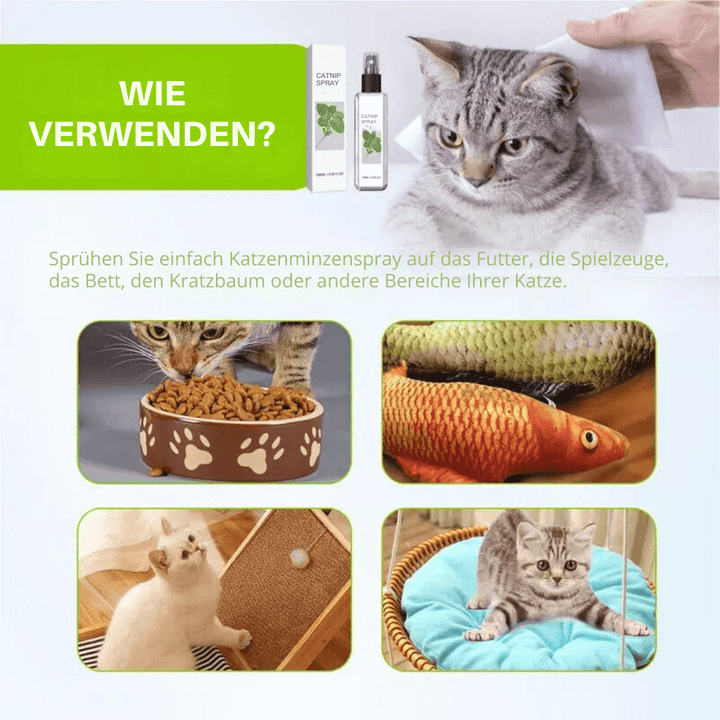 Kattespray med sølvvin - Bliss Spray