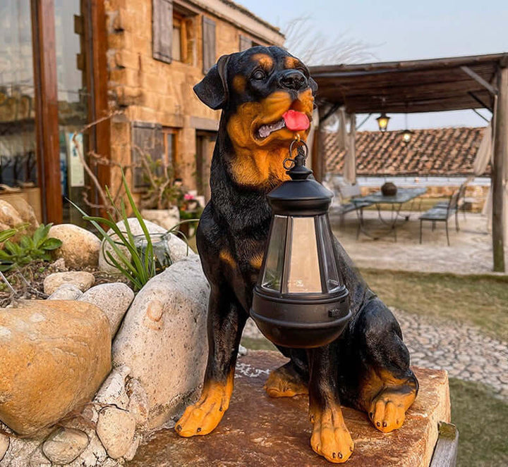 Hunde-solarlampen til din have | LED udendørslys