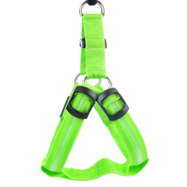 LED hundesele - sikkerhedssele til hunde