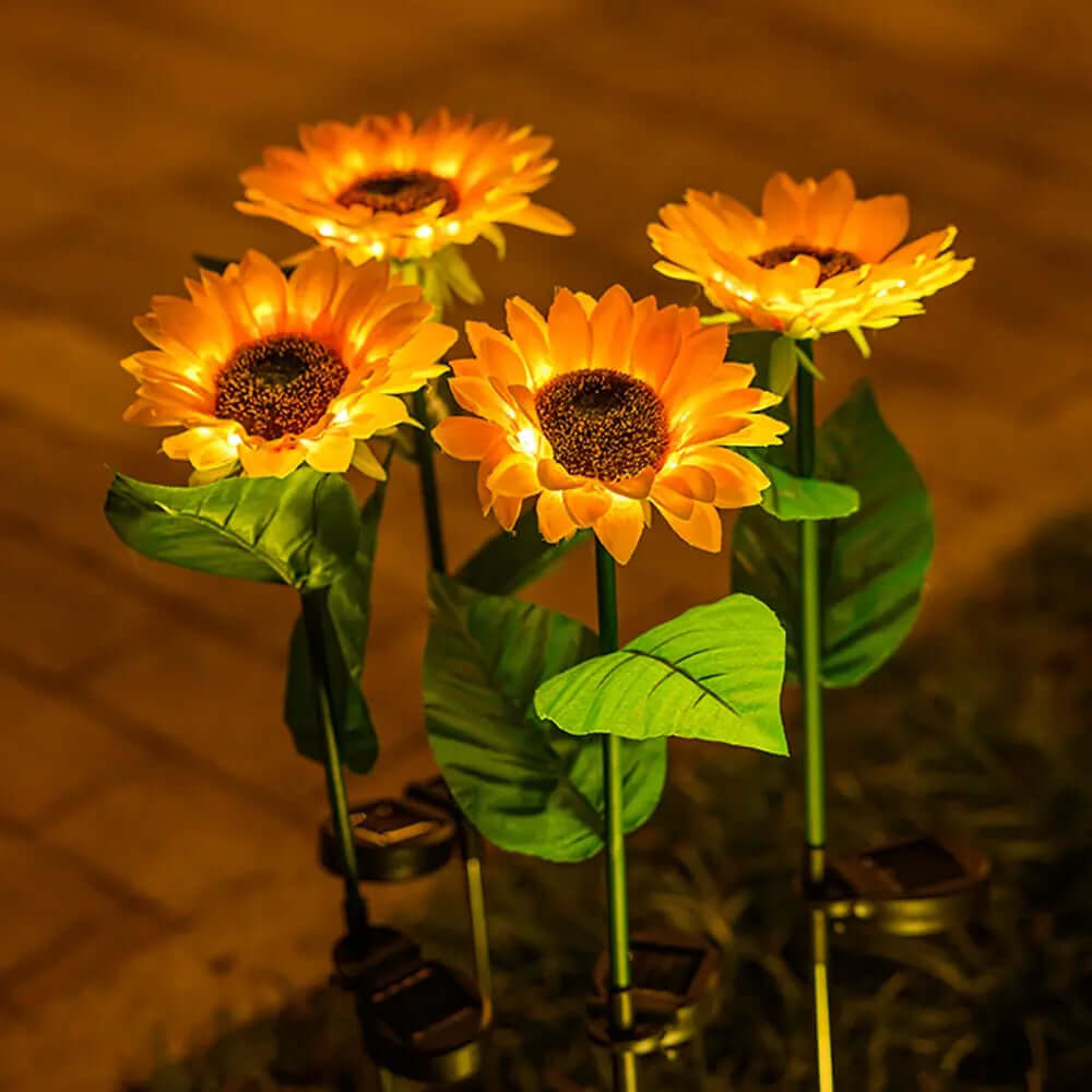 Solar LED Solcelle-Solsikkebelysning til Have
