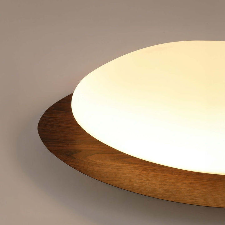 Skandinavisk LED Loftslampe til Stuen