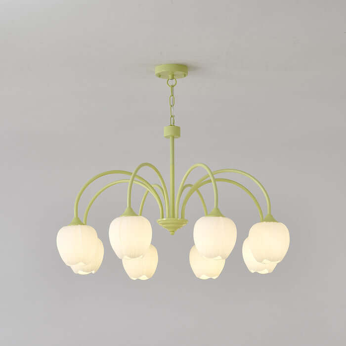 Tulipan Matcha Loftkrone - 5-8 Pærer
