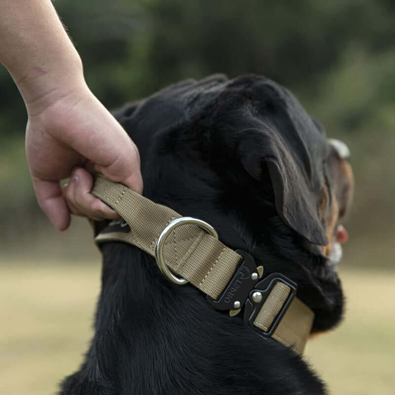 Taktisk hundehalsbånd med håndtag