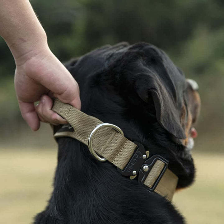 Taktisk hundehalsbånd med håndtag
