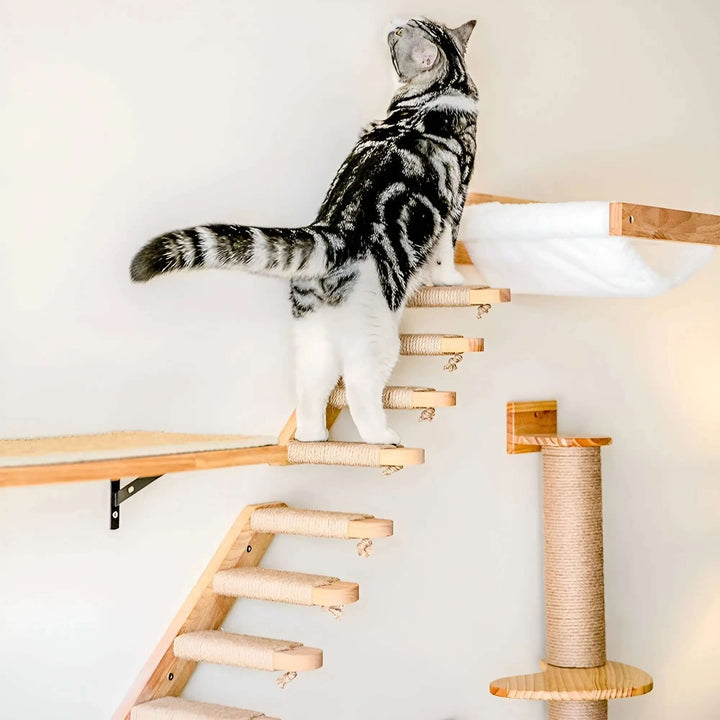 Væghængt klatrebræt med kradsestolpe til katte